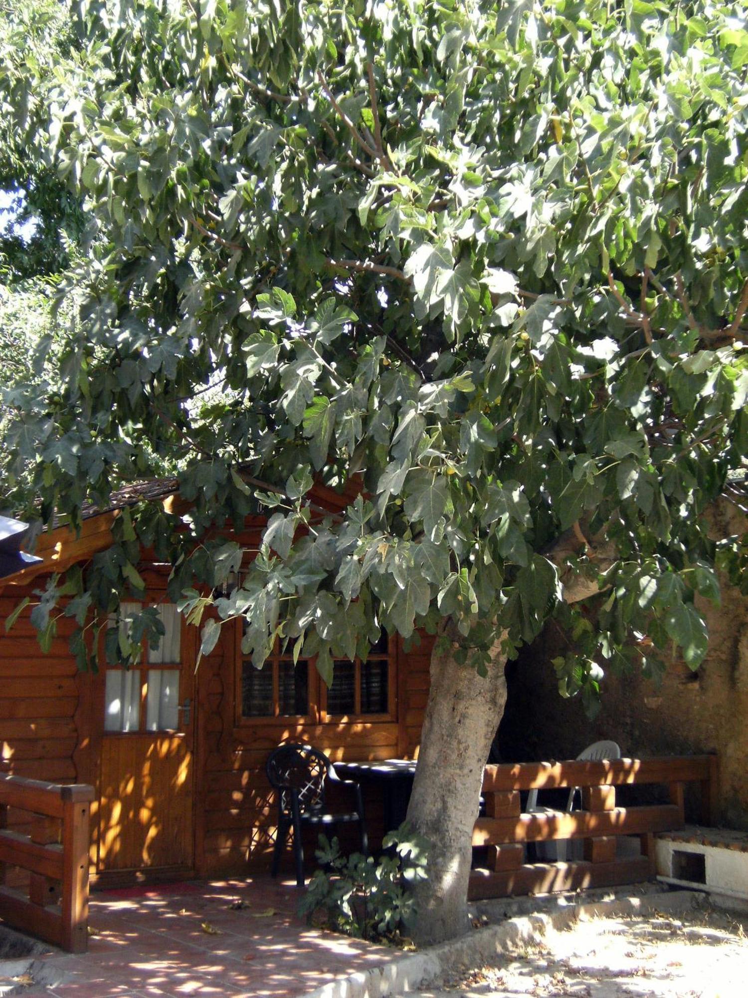 Camping Reina Isabel La Zubia  Exterior foto
